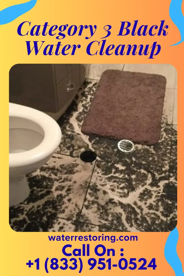 Category 3 Black Water Cleanup in Slater, WY