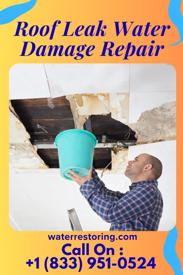 Roof Leak Water Damage Repair in Slater, WY